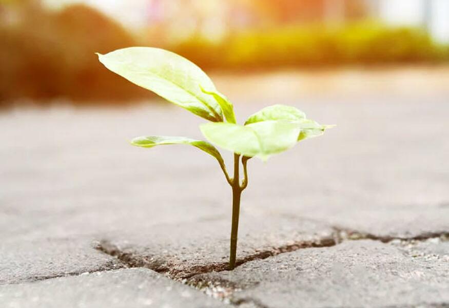 Partner with us iamge